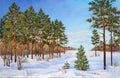 Winter landscape with snowdrifts and pine trees in the snow on a canvas. Original oil painting.