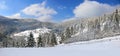 Winter landscape with snowed trees