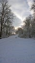 Winter landscape. Snowy winter road in the forest.