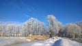 Snowfall. Winter landscape.