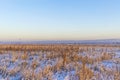 Winter landscape with snowy field with dry plants and blue sky