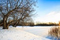 Winter landscape with snowy field, leafless trees and frozen lake in city park. Sunset in the wood. Royalty Free Stock Photo