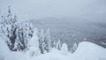 Winter landscape snowy meadow, firs tree under the snow on mountain Royalty Free Stock Photo