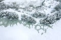 Winter landscape with snowy riverbank and river covered with cracked ice and snow. aerial top view Royalty Free Stock Photo