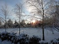 Winter landscape with snowy trees and sunny sky Royalty Free Stock Photo