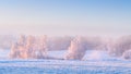 Winter landscape. Snowy trees on white meadow in morning sunlight. Misty winter morning. Beautiful frosty nature Royalty Free Stock Photo