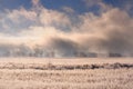 Winter landscape with spectacular heavy fog above bare trees behind field covered with frozen grass under blue sky during sunrise Royalty Free Stock Photo