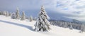 Winter landscape. Spectacular panorama is opened on mountains, trees covered with white snow, lawn and blue sky with clouds Royalty Free Stock Photo
