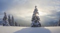 Winter landscape. Spectacular panorama is opened on mountains, trees covered with white snow, lawn and blue sky with clouds Royalty Free Stock Photo