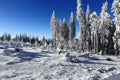 Winter landscape, Spicak, Bohemian Forest, Czech Republic