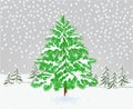 Winter landscape Spruce tree with snow christmas theme natural background vintage vector illustration editable