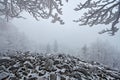 Winter Landscape. Stone of sea landscape with snow and dark grey foggy sky and branches with white snow rime during cold winter. S Royalty Free Stock Photo