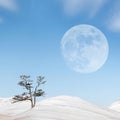 Winter landscape in the style of minimalism. Lonely tree, snowy hills against the blue sky with clouds and moon. Square image. Royalty Free Stock Photo