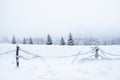 Winter landscape in the Sudetes, white snow covers the field and the forest surrounded by a fence Royalty Free Stock Photo