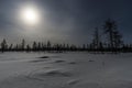 Winter landscape with sun in the frame trees covered with snow Royalty Free Stock Photo