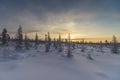 Winter landscape with sun in the frame trees covered with snow Royalty Free Stock Photo