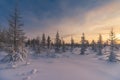 Winter landscape with sun in the frame trees covered with snow Royalty Free Stock Photo