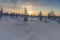 Winter landscape with sun in the frame trees covered with snow Royalty Free Stock Photo