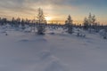 Winter landscape with sun in the frame trees covered with snow Royalty Free Stock Photo