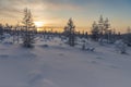 Winter landscape with sun in the frame trees covered with snow Royalty Free Stock Photo