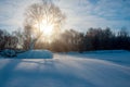 Winter landscape. The sun`s rays break through the crown of the tree. Shadows fall on snow white. Royalty Free Stock Photo