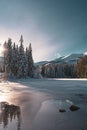 Winter landscape in sunlight, pine forest near lake in Low Tatras mountains, Slovakia