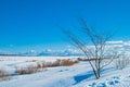 Winter landscape, sunny frosty day