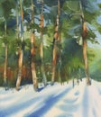 Winter landscape with sunny pine trees and snow in blue. Watercolor illustration