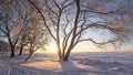 Winter landscape at sunrise. Snowy trees. Frosty nature. Trees with hoarfrost on lake shore covered by snow. Warm yellow sunlight