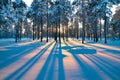 Winter landscape. Sunset. Royalty Free Stock Photo