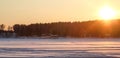 Winter landscape. Sunset  Forest on horizon Royalty Free Stock Photo