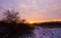 Winter landscape at sunset and silhouettes of trees Royalty Free Stock Photo
