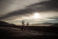 Winter landscape at sunset with tree, Tibet