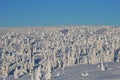 Winter landscape Sweden