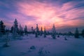 Winter landscape with forest and sunset. Christmas winter background with snow and trees Royalty Free Stock Photo