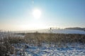 Winter landscape with teasel, sun and blue sky Royalty Free Stock Photo