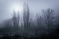 Winter landscape with thick fog, trees with bare branches, winter scene with ground frozen by the cold Royalty Free Stock Photo