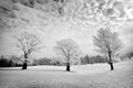 Winter landscape at Tinovul Mohos in Harghita county, Romania Royalty Free Stock Photo