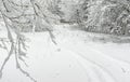 Winter landscape with tire ruts in empty forest Royalty Free Stock Photo