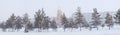 Winter landscape with the town church Royalty Free Stock Photo