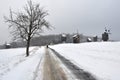 Winter landscape, tree, old windmills Royalty Free Stock Photo