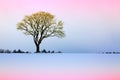 Winter landscape with tree. Royalty Free Stock Photo