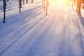 Winter landscape, tree trunks cast shadows on the snow, illuminated by bright sun at sunset Royalty Free Stock Photo