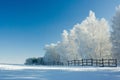 Winter landscape and trees Royalty Free Stock Photo