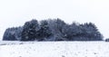 Winter landscape with trees blanketed in snow and a cloudy white sky Royalty Free Stock Photo