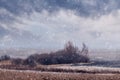 Winter landscape with trees and bushes in the field and cloudy sky during snowfall Royalty Free Stock Photo
