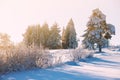 Winter landscape, trees covered with fresh snow, Finland