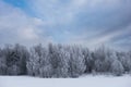 Winter landscape with trees covered in rime frost Royalty Free Stock Photo