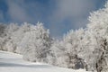 Winter landscape Royalty Free Stock Photo