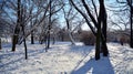 Winter landscape, Winter trees covered with snow. Royalty Free Stock Photo